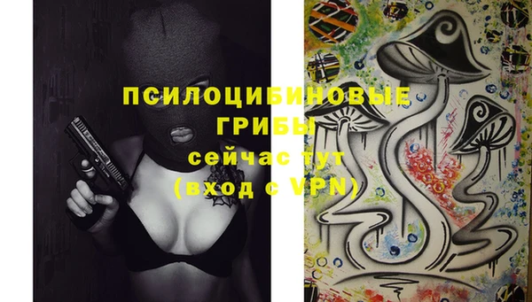 каннабис Белокуриха