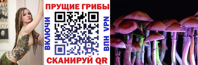 Галлюциногенные грибы Cubensis  Бугульма 